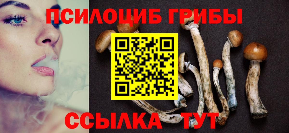 Галлюциногенные грибы MAGIC MUSHROOMS  Вход с VPN  Губкин 