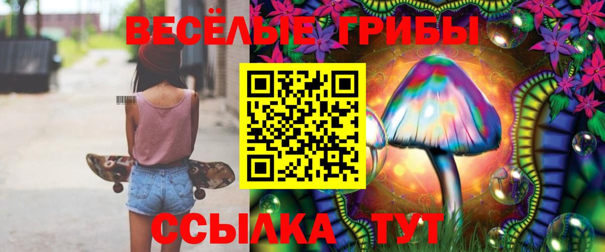Псилоцибиновые грибы GOLDEN TEACHER Губкин